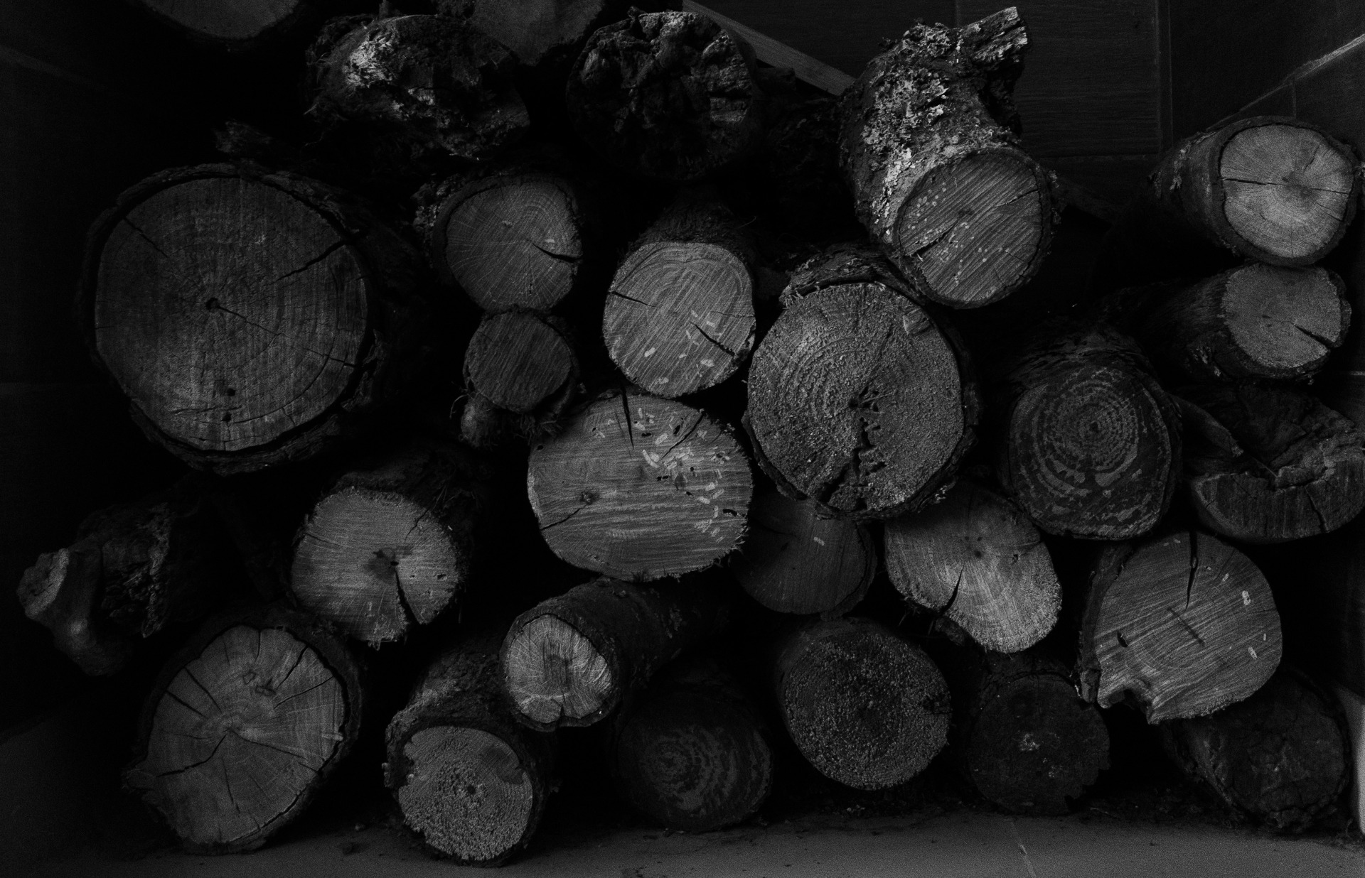 Fotografia 